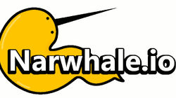 narwhale-io
